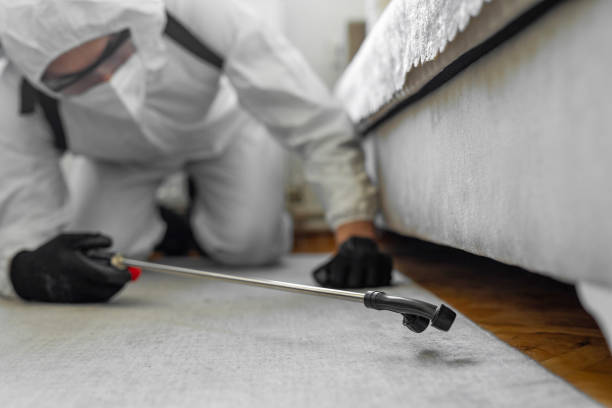 Professional Fumigation Services technician working in Baxter, MN