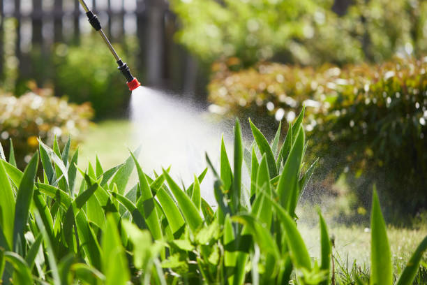 24/7 Emergency Fumigation Services experts in Baxter, MN