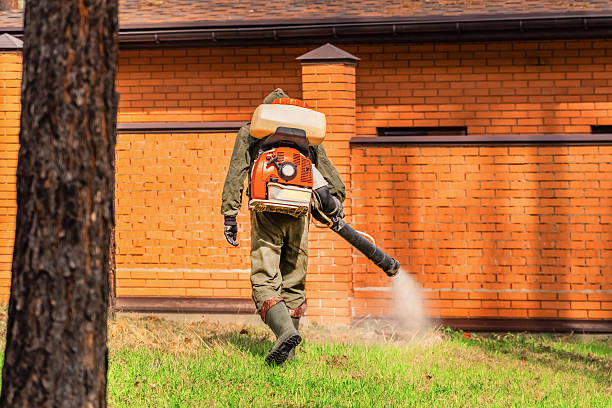 Top rated local Fumigation Services specialists in Baxter, MN